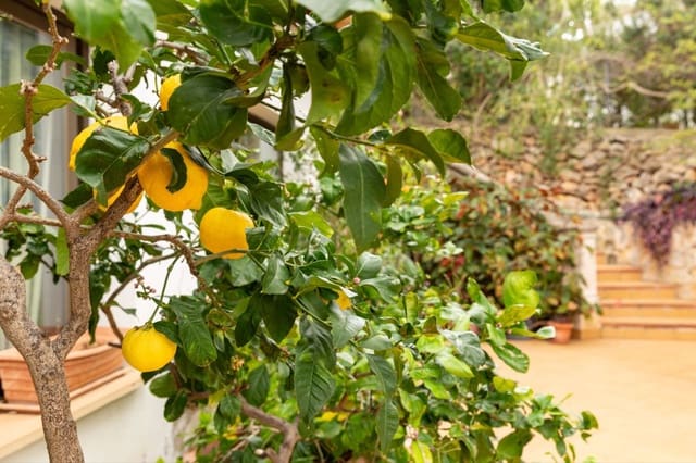 4 bedroom Villa for sale in Portals Nous, Calvià with pool - € 2,850,000 (Ref: 9654123)