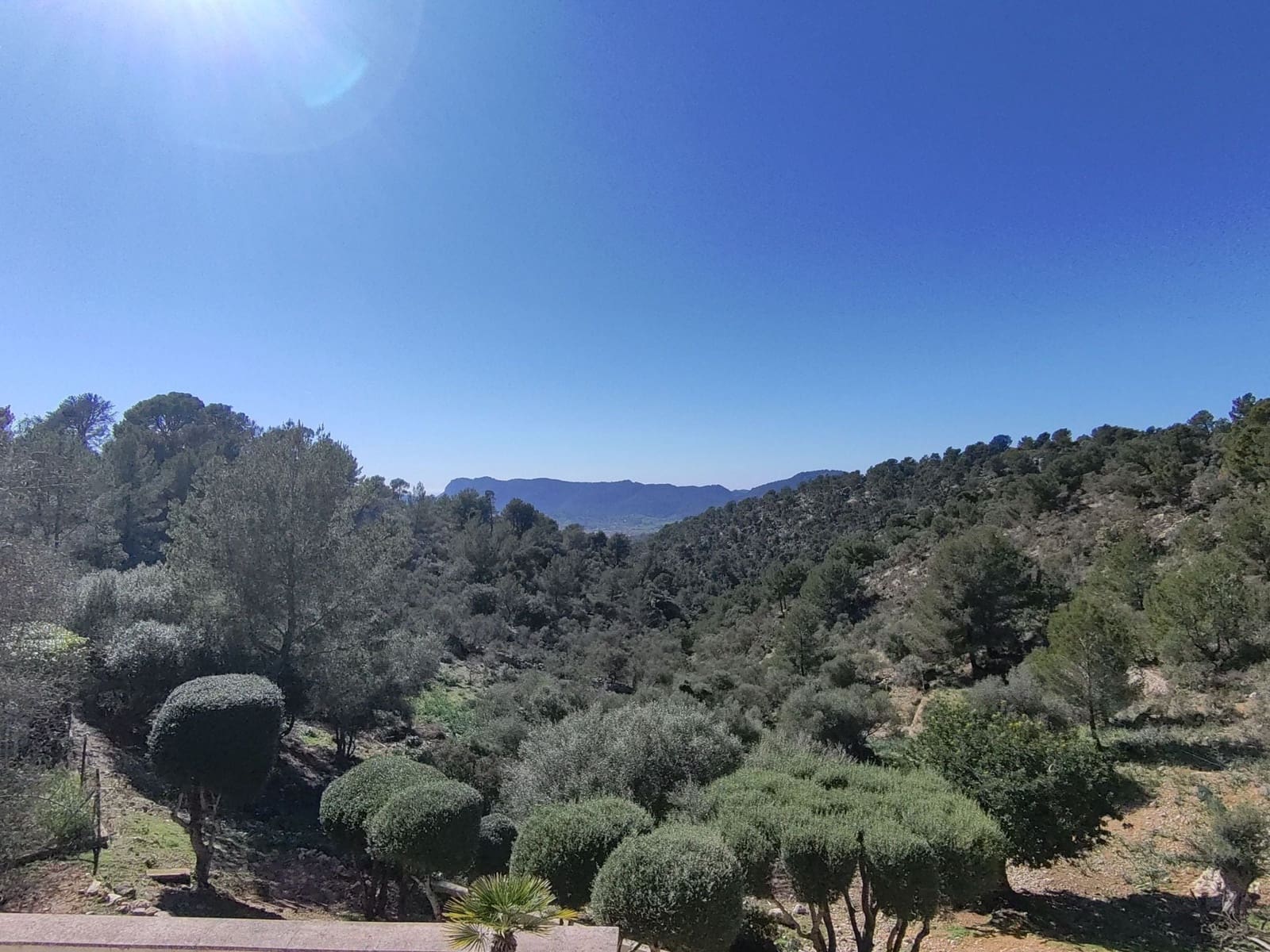 3 bedroom Villa for sale in Calvia with pool - € 2,725,000 (Ref: 9697744)