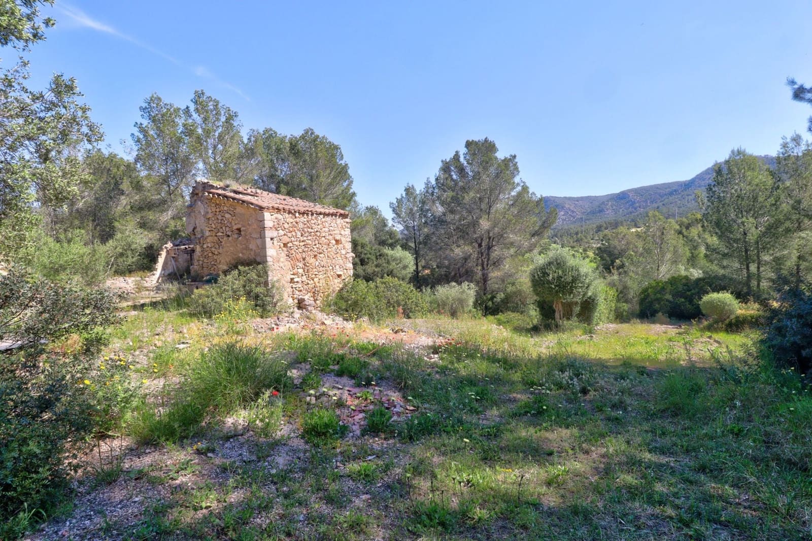 4 quarto Moradia para venda em Calvia com piscina - 2 650 000 € (Ref: 9782864)