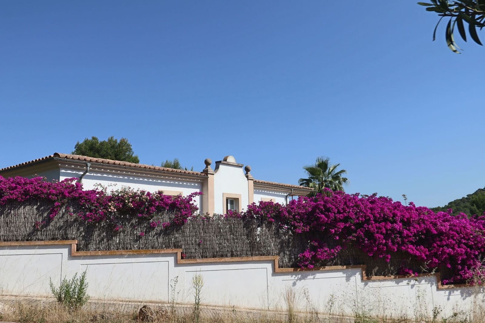 5 Zimmer Villa zu verkaufen in Santa Ponsa mit Pool - 3.200.000 € (Ref: 9875556)
