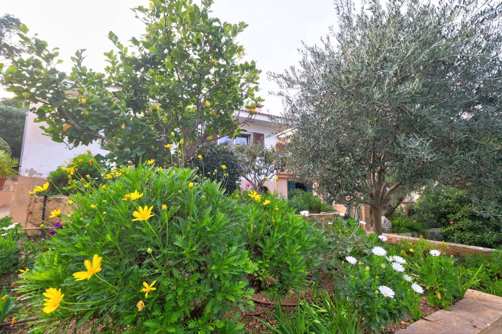 3 bedroom Villa for sale in El Toro / Port Adriano - € 1,350,000 (Ref: 9999487)