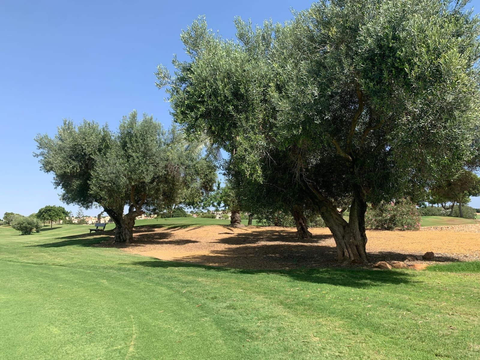 2 soveværelse Semi-Rækkehus til salg i Los Alcazares med swimmingpool garage - € 225.000 (Ref: 9263266)