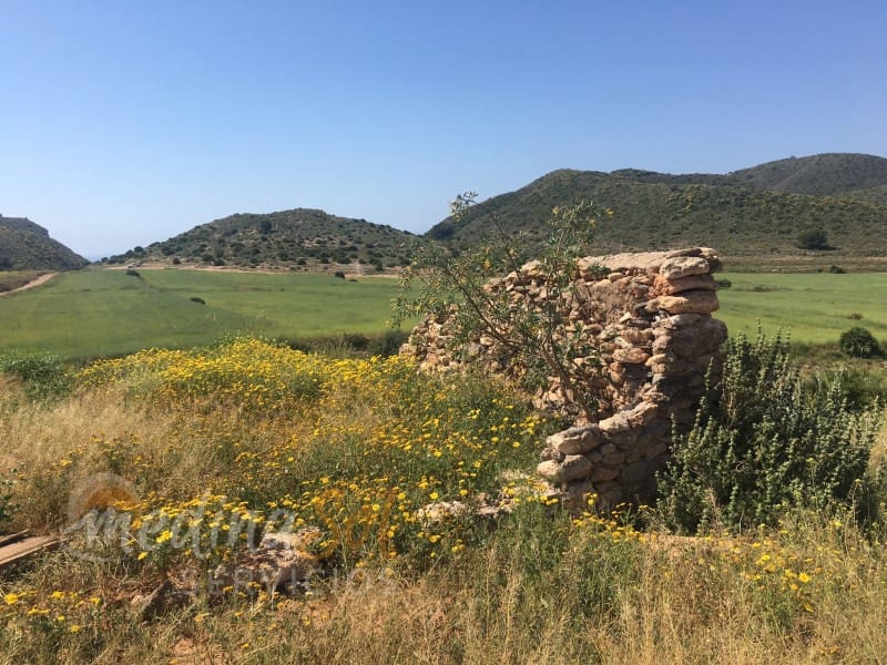 4 sypialnia Finka/Dom wiejski na sprzedaż w Los Belones z basenem garażem - 725 000 € (Ref: 8389447)