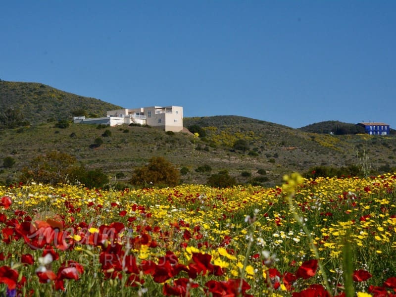 4 sypialnia Finka/Dom wiejski na sprzedaż w Los Belones z basenem garażem - 725 000 € (Ref: 8389447)