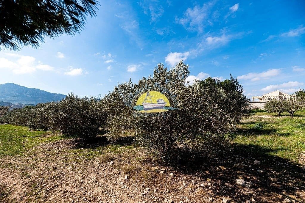 4 soveværelse Finca/Landehus til salg i Leiva med garage - € 495.000 (Ref: 6732245)