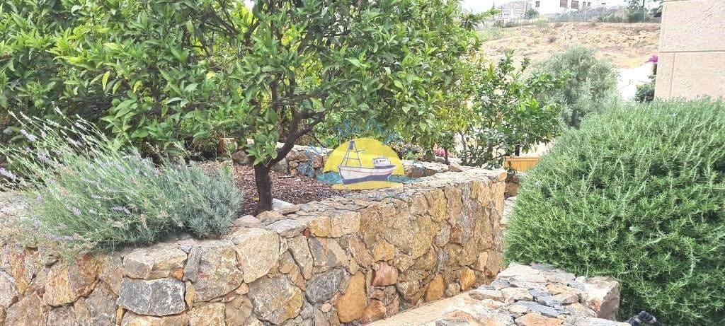 5 soveværelse Villa til salg i Isla Plana med swimmingpool garage - € 1.300.000 (Ref: 6804543)