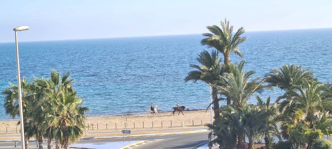 6 chambre Appartement à vendre à Alamillo - 690 000 € (Ref: 7200828)