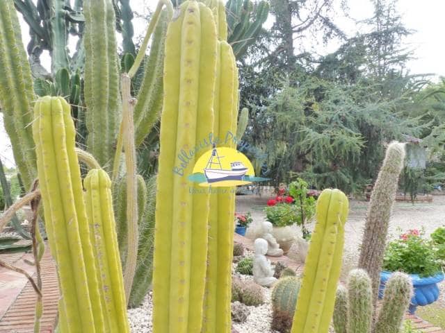 4 slaapkamer Villa te koop in Totana met zwembad - € 399.000 (Ref: 7247263)