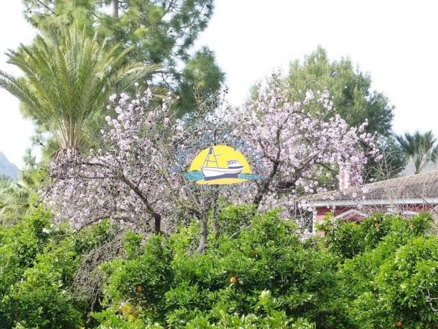 4 slaapkamer Villa te koop in Totana met zwembad - € 399.000 (Ref: 7247263)