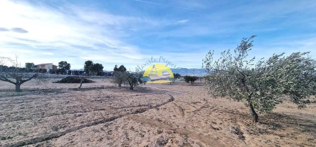 3 makuuhuone Huvila myytävänä paikassa El Pareton mukana uima-altaan - 279 999 € (Ref: 7440956)