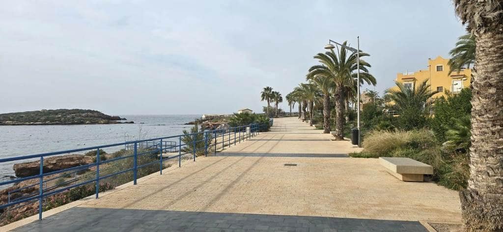 3 slaapkamer Penthouse te koop in Cartagena met garage - € 475.000 (Ref: 8758089)