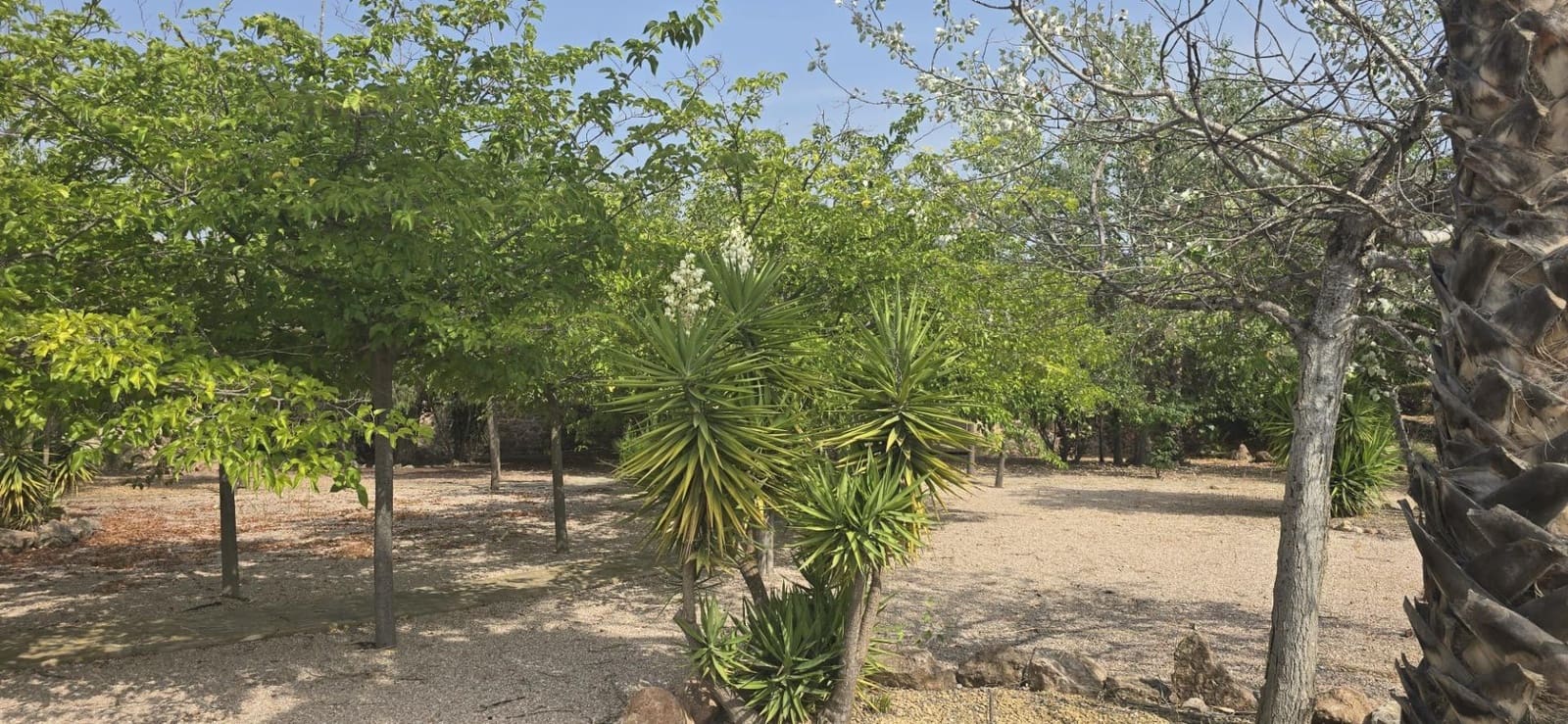 4 soverom Villa til salgs i Totana med svømmebasseng - € 450 000 (Ref: 9186808)