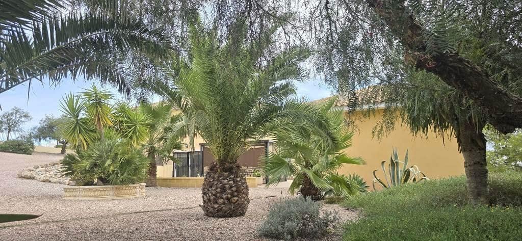 5 chambre Finca/Maison de Campagne à vendre à Totana avec piscine garage - 435 000 € (Ref: 9362575)