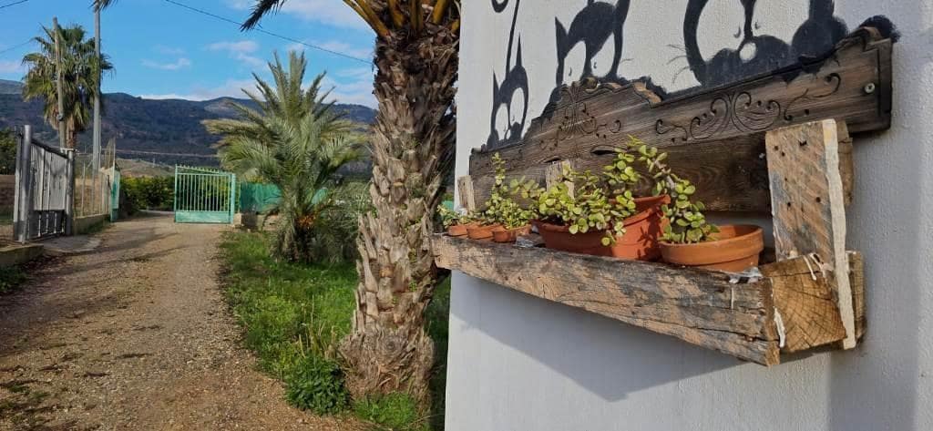 2 sypialnia Finka/Dom wiejski na sprzedaż w Alhama de Murcia - 210 000 € (Ref: 9621750)