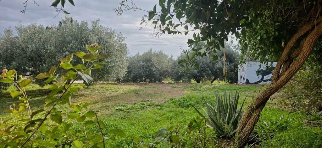 2 sypialnia Finka/Dom wiejski na sprzedaż w Alhama de Murcia - 210 000 € (Ref: 9621750)