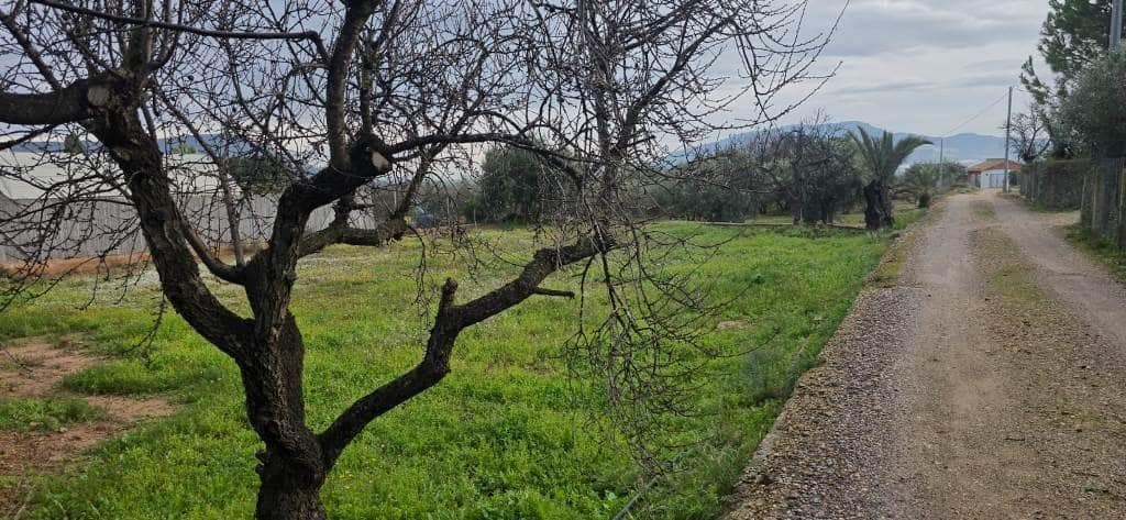 2 sypialnia Finka/Dom wiejski na sprzedaż w Alhama de Murcia - 210 000 € (Ref: 9621750)