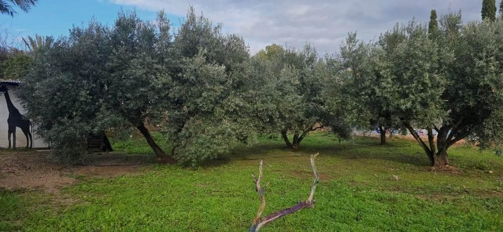 2 sypialnia Finka/Dom wiejski na sprzedaż w Alhama de Murcia - 210 000 € (Ref: 9621750)