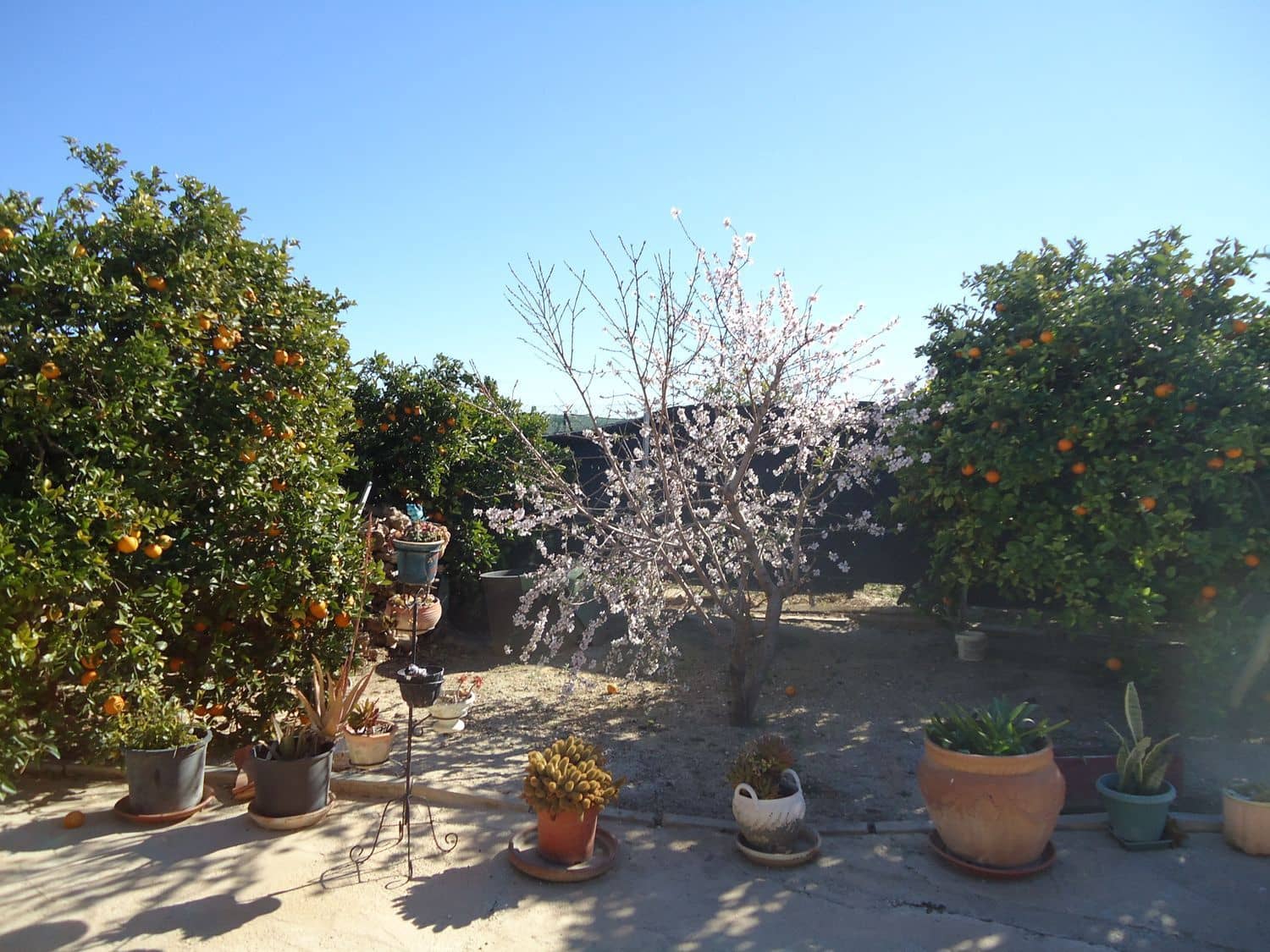 3 bedroom Villa for sale in Roda with pool garage - € 950,000 (Ref: 9420697)