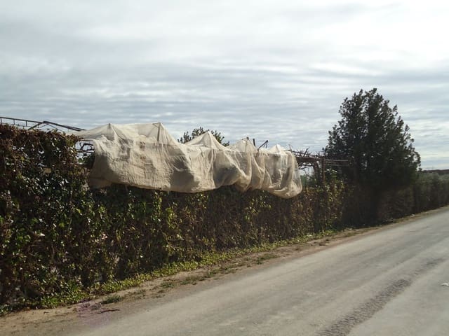 Terreno Non Edificato in vendita in Torre-Pacheco - 117.000 € (Rif: 9420708)