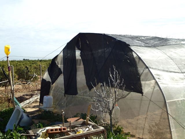 Terreno Non Edificato in vendita in Torre-Pacheco - 117.000 € (Rif: 9420708)