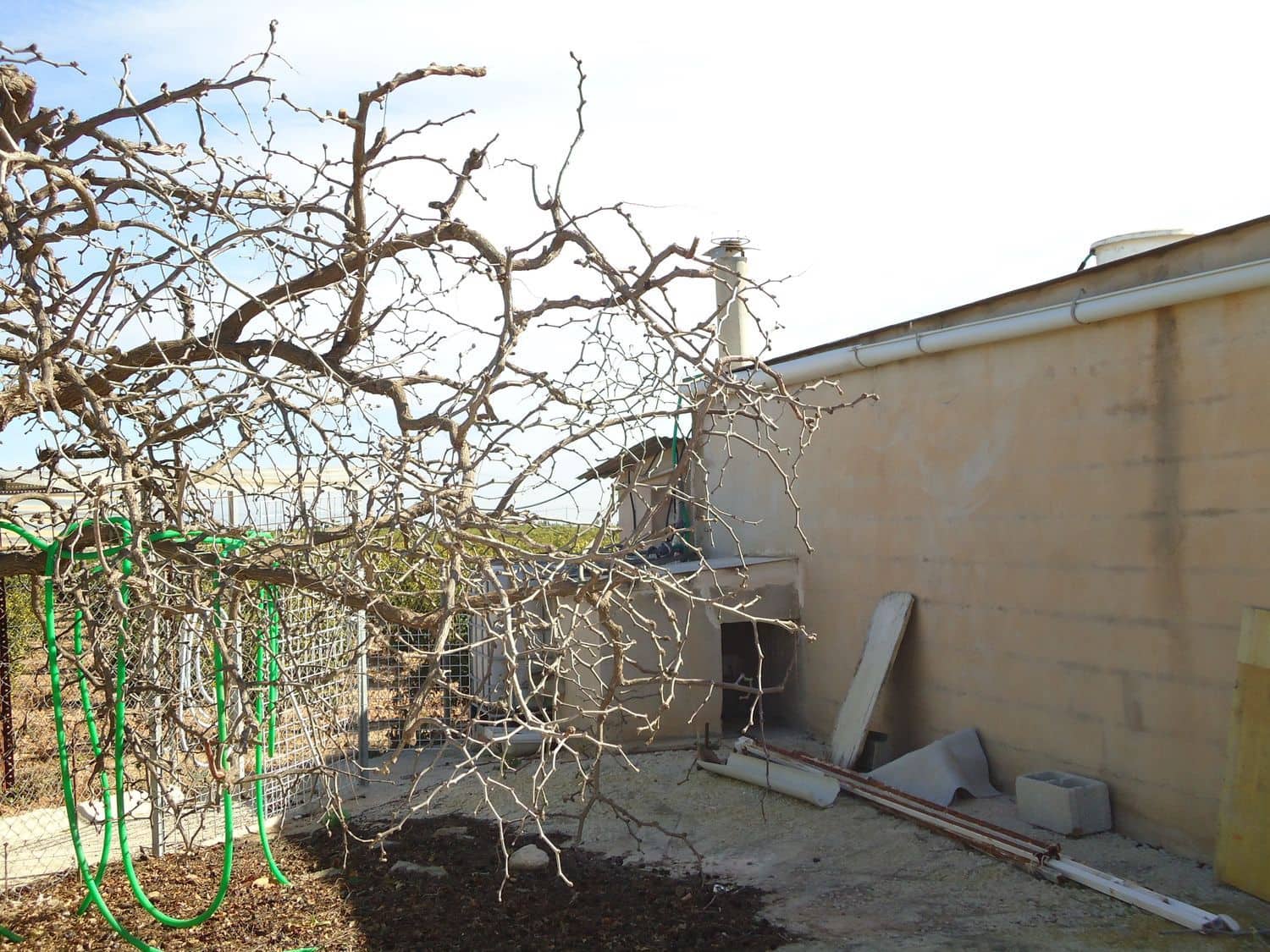 Teren niezagospodarowany na sprzedaż w Torre-Pacheco - 117 000 € (Ref: 9420708)