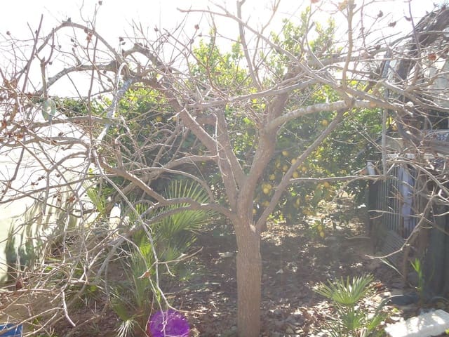 Terreno Non Edificato in vendita in Torre-Pacheco - 117.000 € (Rif: 9420708)