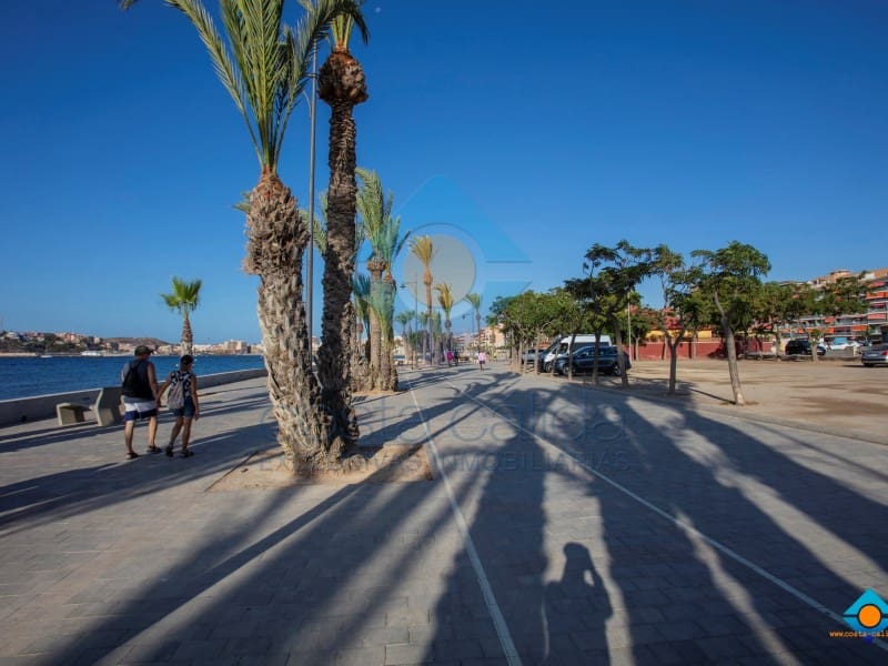 1 soverom Leilighet til salgs i Puerto de Mazarron - € 45 900 (Ref: 10094366)