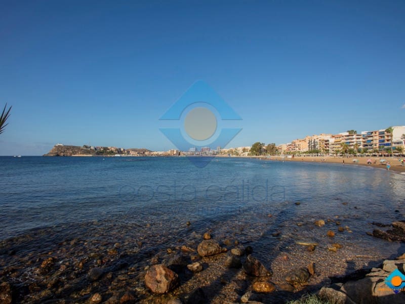 1 soverom Leilighet til salgs i Puerto de Mazarron - € 45 900 (Ref: 10094366)
