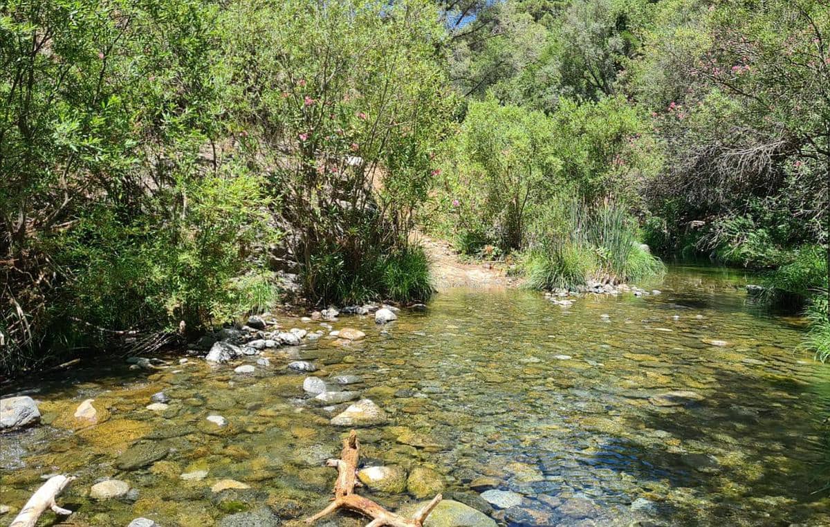 3 soveværelse Lejlighed til salg i Istan - € 210.000 (Ref: 9149152)