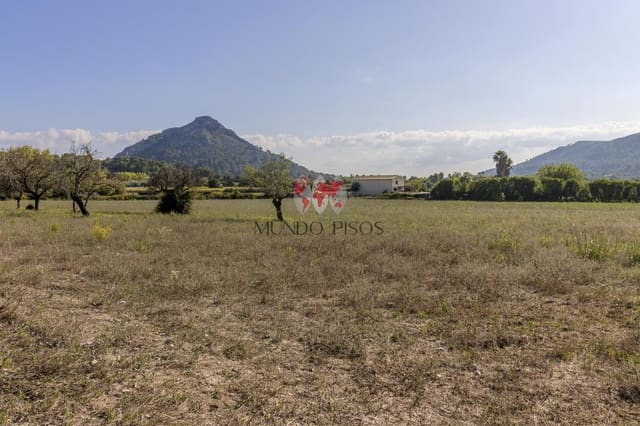 Grunde uden byggetilladelser til salg i Alcúdia - € 989.000 (Ref: 7870943)