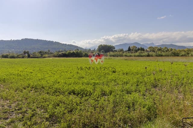 Grunde uden byggetilladelser til salg i Alcúdia - € 989.000 (Ref: 7870943)