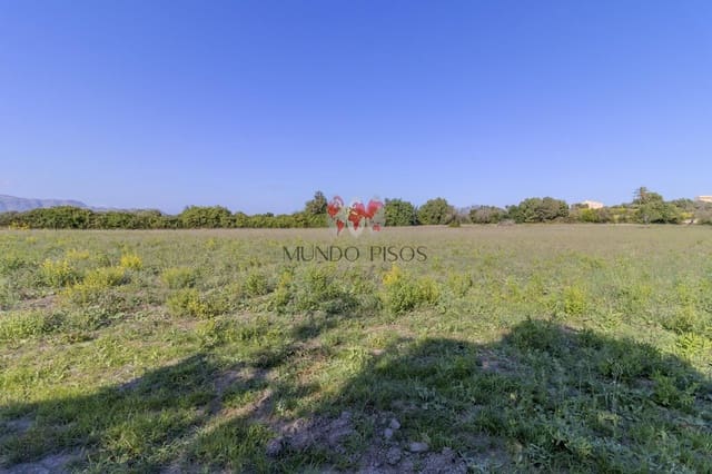 Grunde uden byggetilladelser til salg i Alcúdia - € 989.000 (Ref: 7870943)