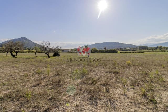 Grunde uden byggetilladelser til salg i Alcúdia - € 989.000 (Ref: 7870943)