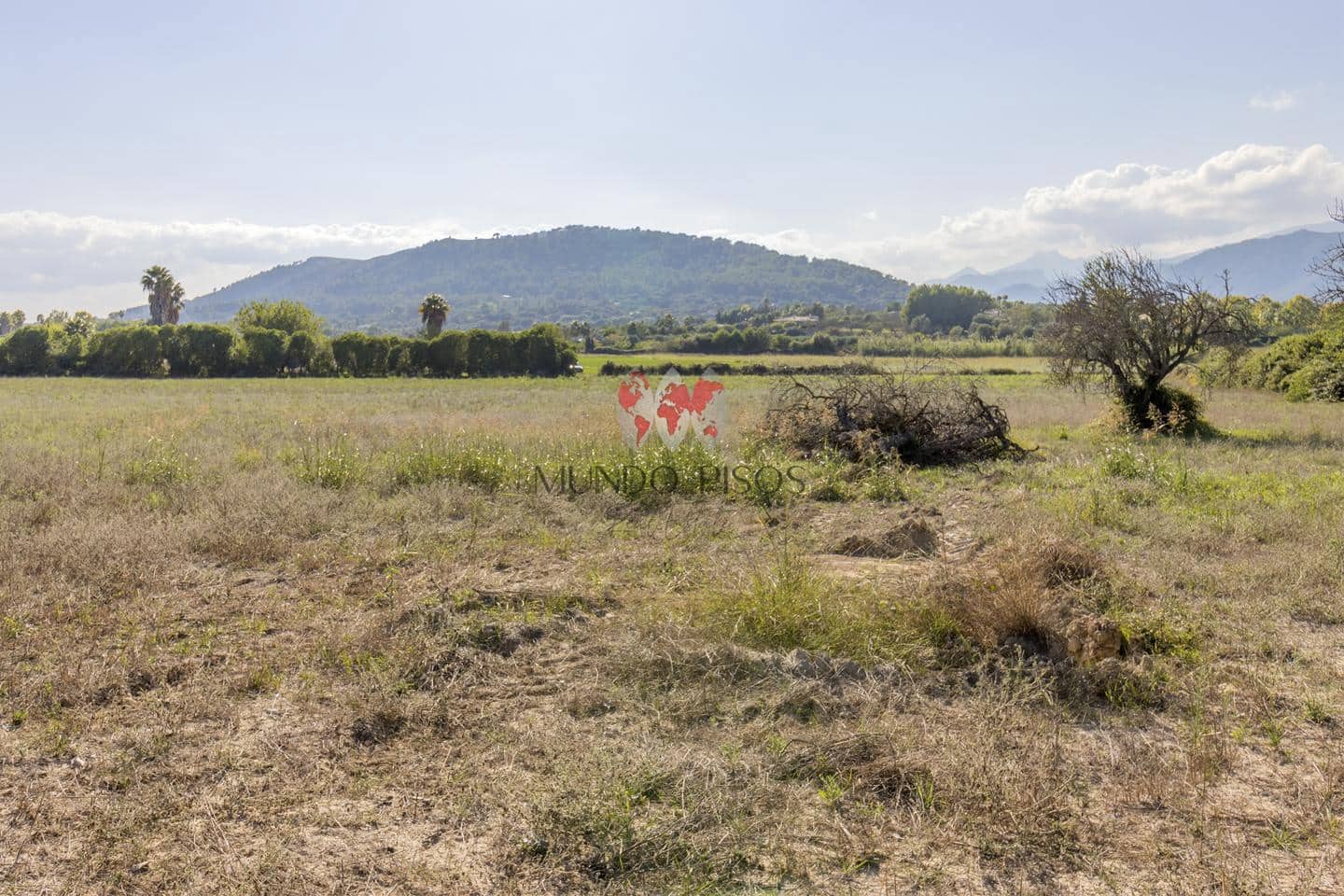 Undeveloped Land for sale in Alcudia - € 989,000 (Ref: 7870943)
