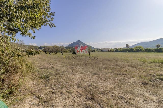 Terre non Aménagée à vendre à Alcúdia - 989 000 € (Ref: 7870943)