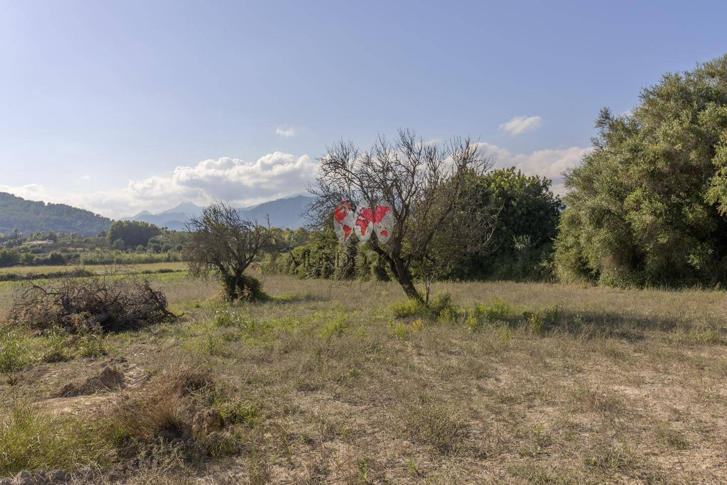 Undeveloped Land for sale in Alcudia - € 989,000 (Ref: 7870943)