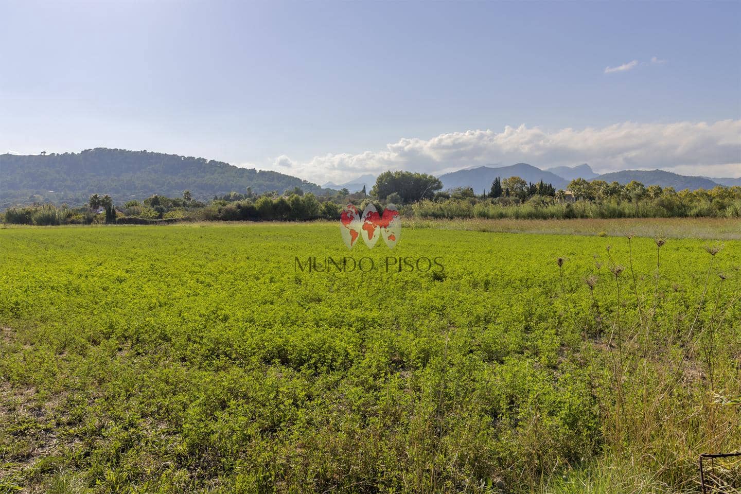 Undeveloped Land for sale in Alcudia - € 989,000 (Ref: 7870943)