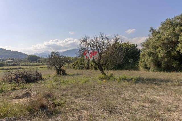 Terre non Aménagée à vendre à Alcúdia - 989 000 € (Ref: 7870943)