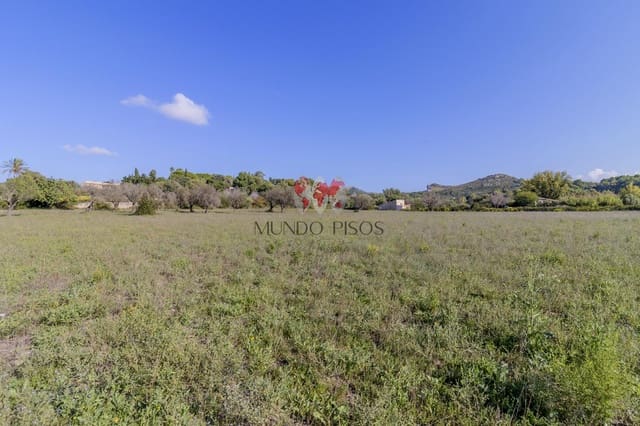 Terre non Aménagée à vendre à Alcúdia - 989 000 € (Ref: 7870943)