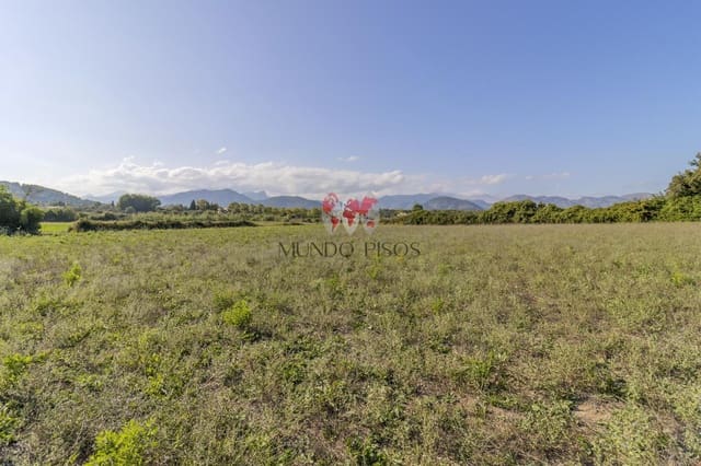 Terre non Aménagée à vendre à Alcúdia - 989 000 € (Ref: 7870943)