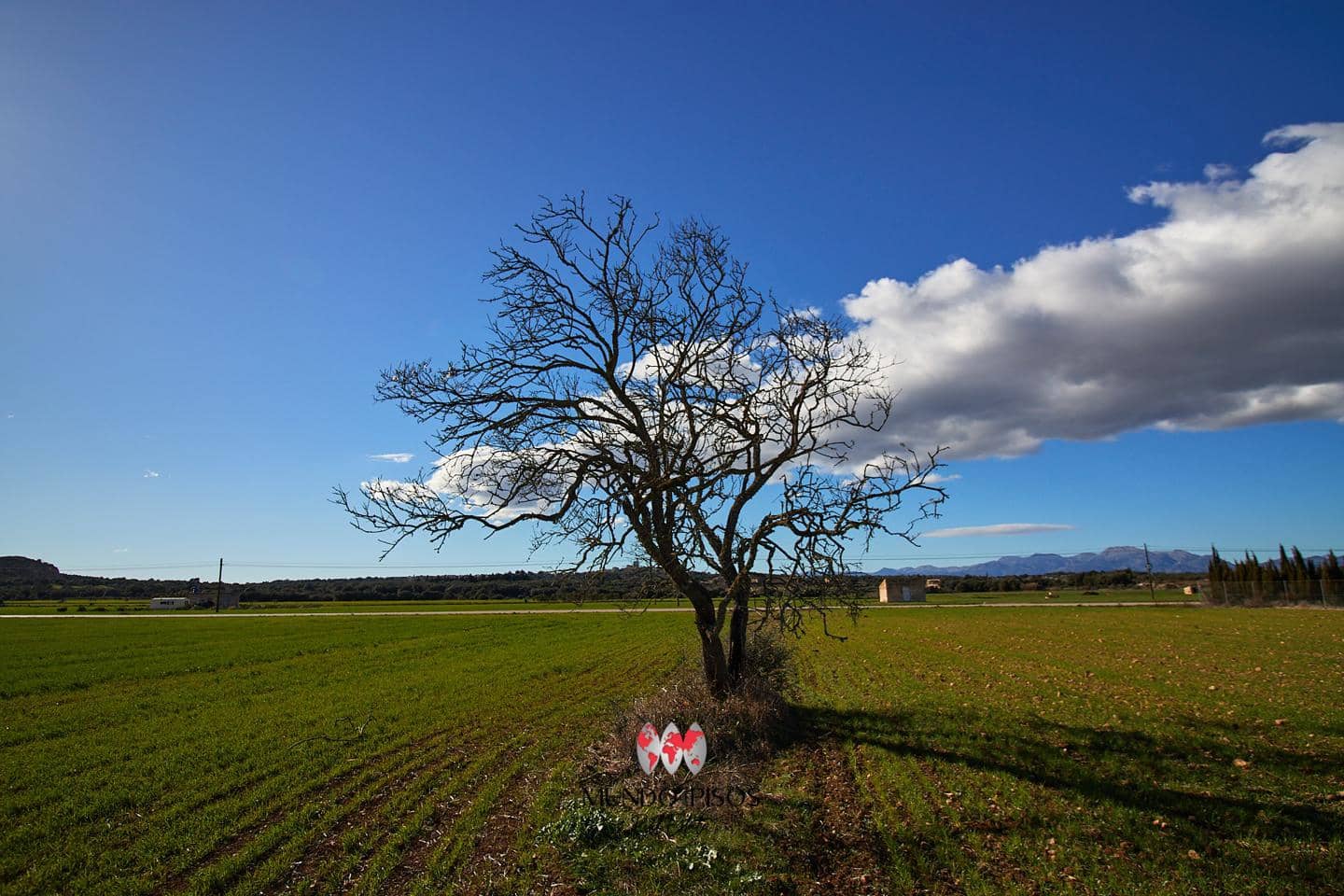 Grunde uden byggetilladelser til salg i Maria de la Salud / Maria de la Salut - € 319.000 (Ref: 8107420)