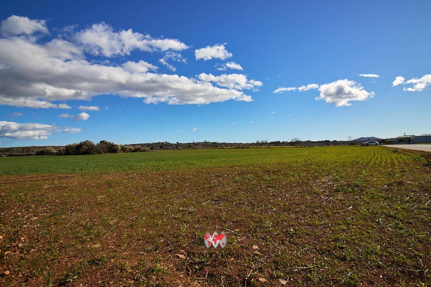 Grunde uden byggetilladelser til salg i Maria de la Salud / Maria de la Salut - € 319.000 (Ref: 8107420)