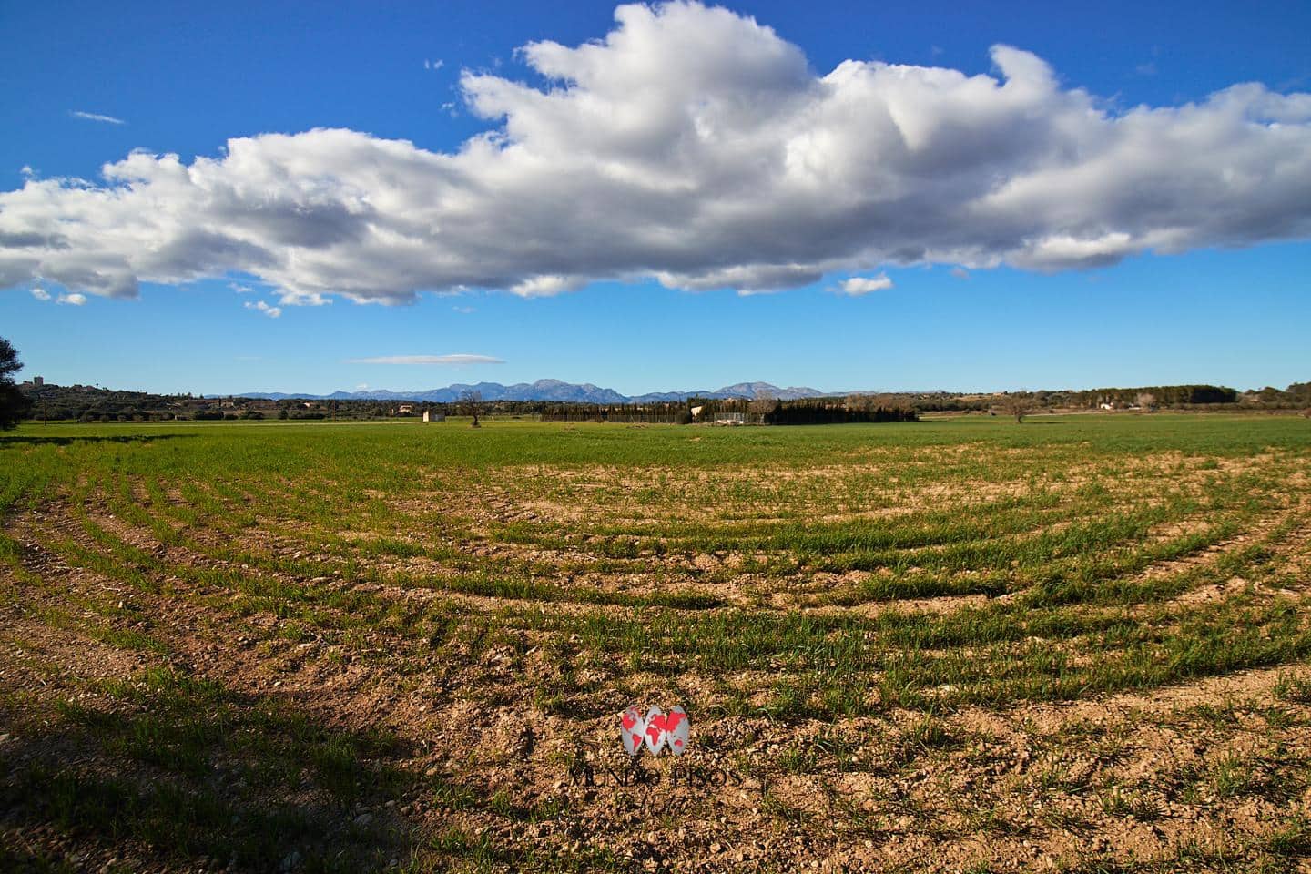 Grunde uden byggetilladelser til salg i Maria de la Salud / Maria de la Salut - € 319.000 (Ref: 8107420)