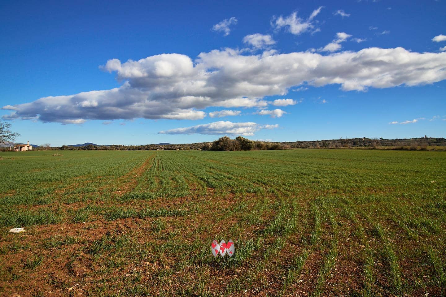 Grunde uden byggetilladelser til salg i Maria de la Salud / Maria de la Salut - € 319.000 (Ref: 8107420)