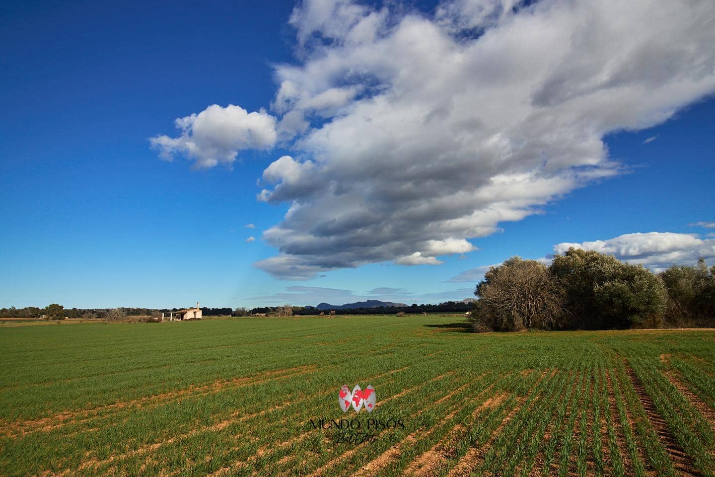 Grunde uden byggetilladelser til salg i Maria de la Salud / Maria de la Salut - € 319.000 (Ref: 8107420)