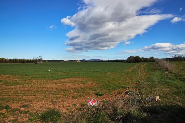 Grond te koop in María de la Salud / María de la Salut - € 319.000 (Ref: 8107420)