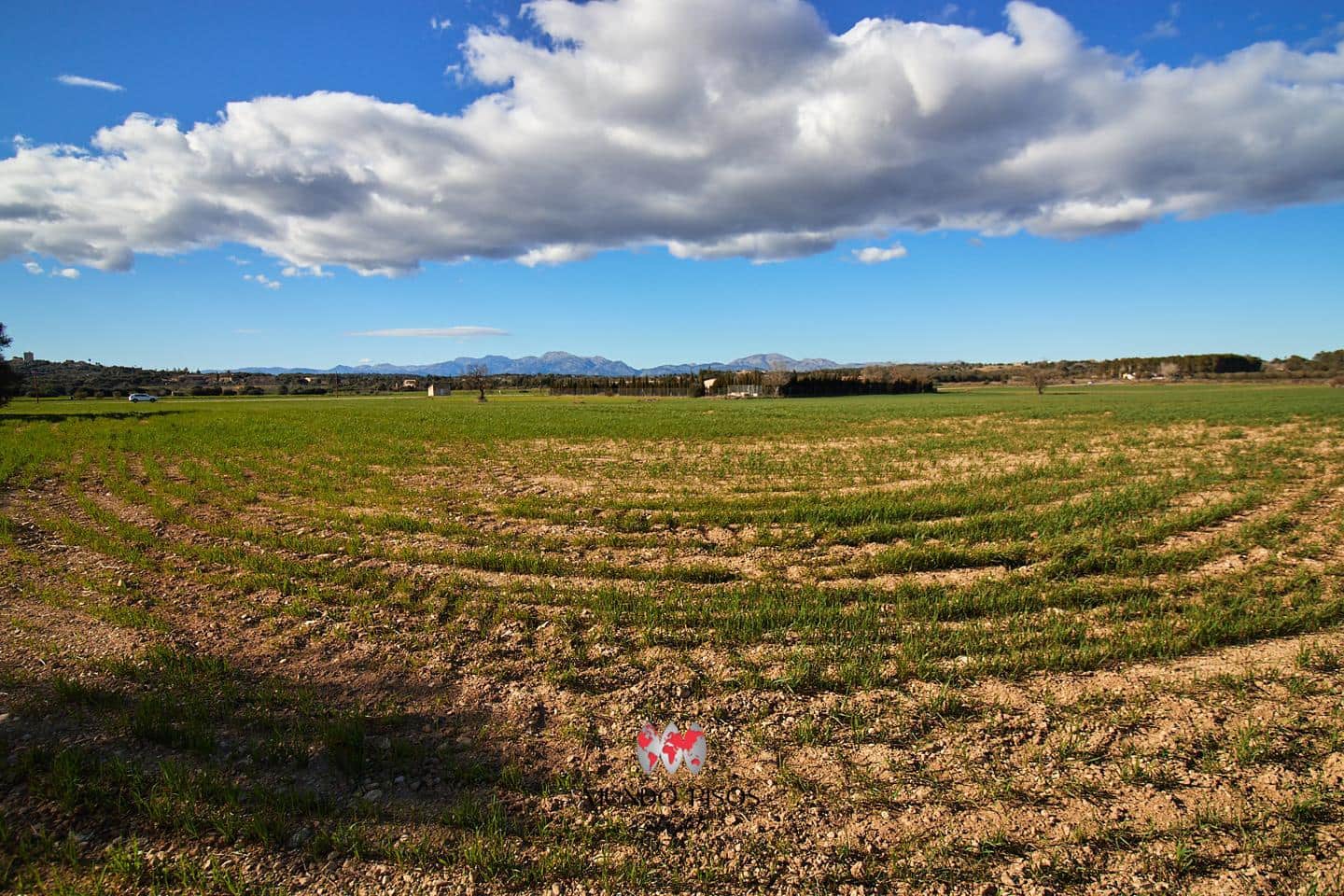 Grunde uden byggetilladelser til salg i Maria de la Salud / Maria de la Salut - € 319.000 (Ref: 8107420)