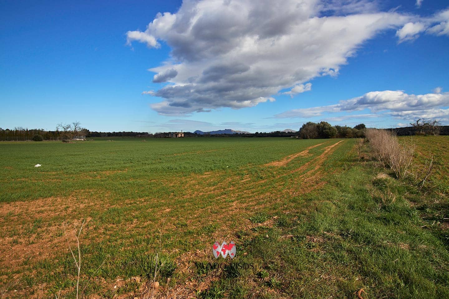 Grunde uden byggetilladelser til salg i Maria de la Salud / Maria de la Salut - € 319.000 (Ref: 8107420)