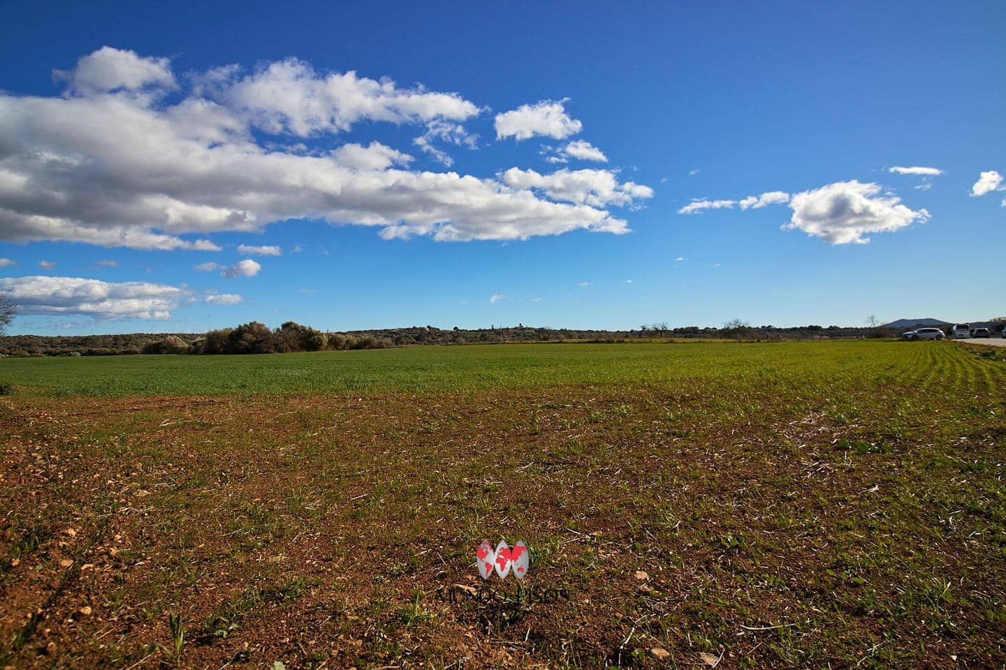 Grunde uden byggetilladelser til salg i Maria de la Salud / Maria de la Salut - € 319.000 (Ref: 8107420)