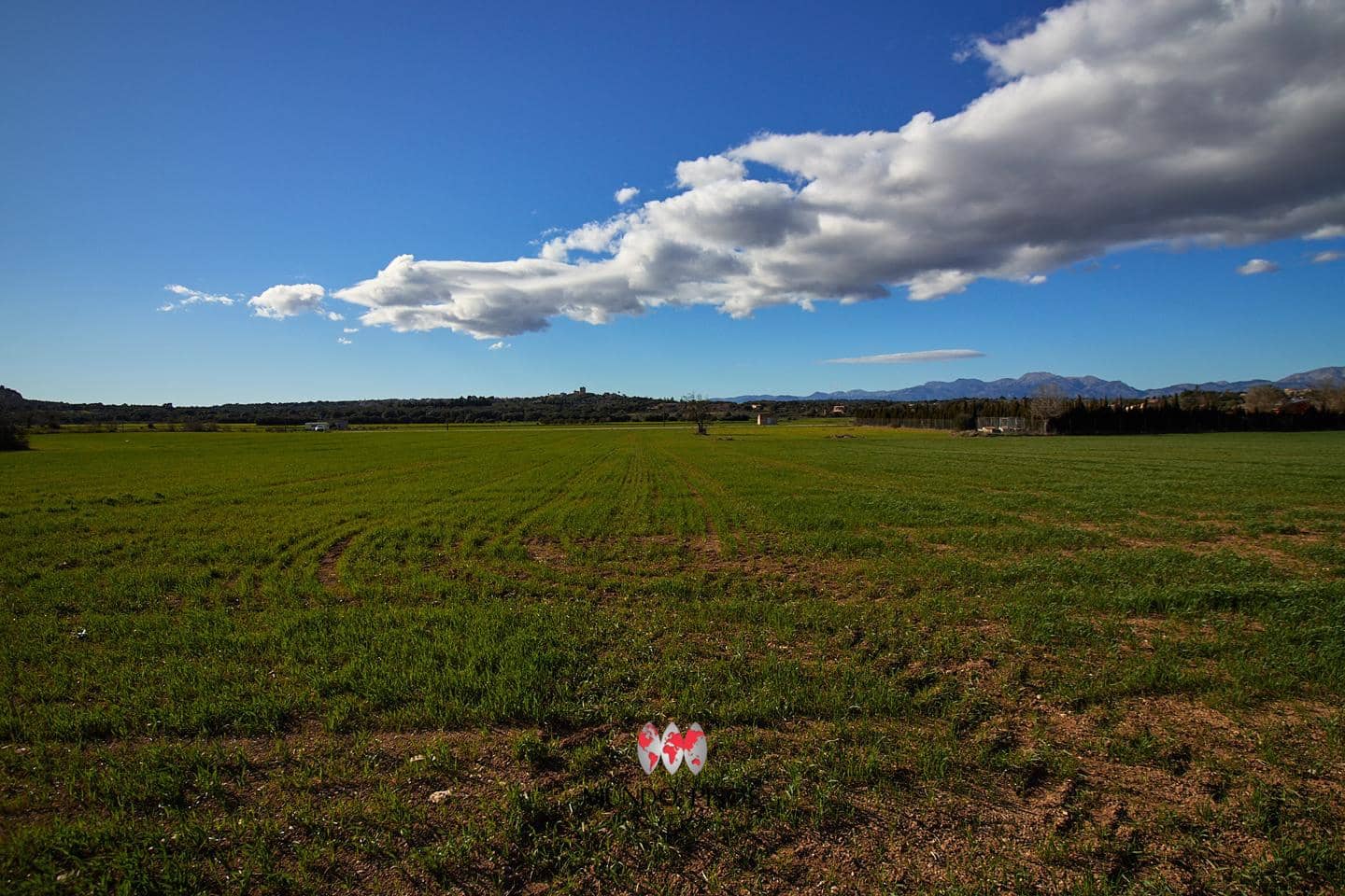 Grunde uden byggetilladelser til salg i Maria de la Salud / Maria de la Salut - € 319.000 (Ref: 8107420)